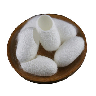 广西蚕农2025鲜蚕茧 桑蚕茧壳蚕茧球精选套指洗脸蚕茧水膜护肤