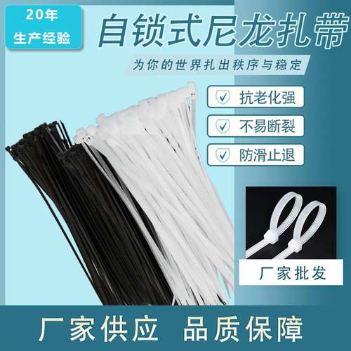 专业经销8x250mm自锁式扎尼龙固定带带带塑料扎线塑料扎，尼龙