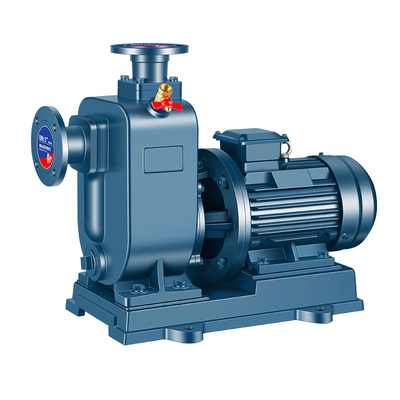 卧式防堵塞排污水泵铸铁农用灌溉