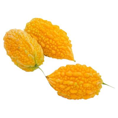 小癞瓜种子苗赖葡萄春季播爬藤