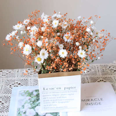 新疆包邮鲁丹鸟满天星鲁丹斯北欧风干花花束天然真花风干ins摆件