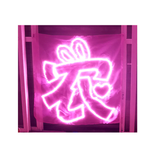 陈立农应援棒灯牌超薄团购软硬灯牌羽纱蛛网布灯牌LED演唱会灯牌