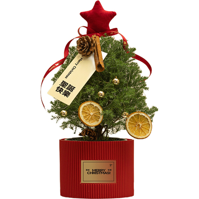 亨勒圣诞节装饰品圣诞树真树