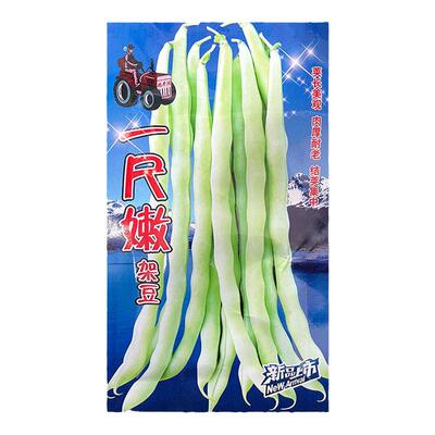 蔬菜四季种孑架豆九粒白芸豆四季