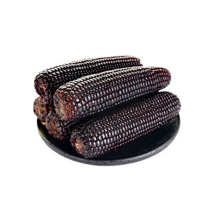 玉米种子大全白糯彩糯黑糯玉米水果玉米白甜糯彩甜糯玉米春秋播