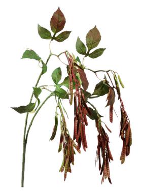 软胶豌豆荚仿真绿植豆角扁豆线条造型婚礼小众绿叶样板间陈列装饰