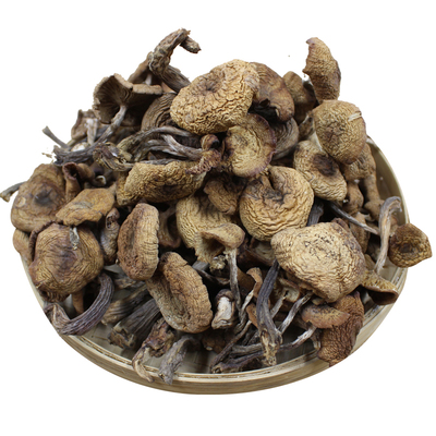 东北特产小鸡干货香菇类野生榛蘑