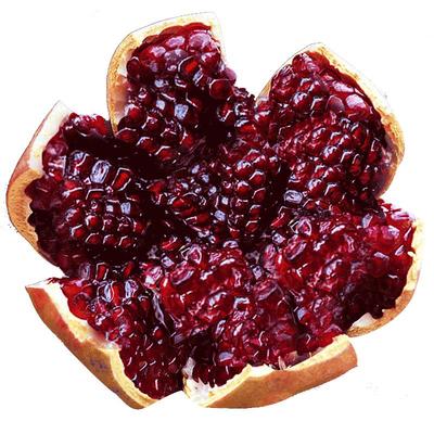 【5A品质】颗粒饱满丨清甜多汁