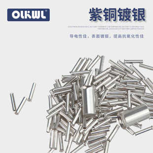 EN管型冷压裸端子喇叭口紫铜镀银铜管欧式 空心针型插针套管GT线鼻