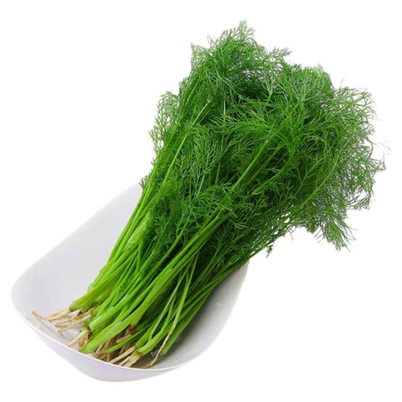 人唯贵新鲜蔬菜带根茴香苗500g