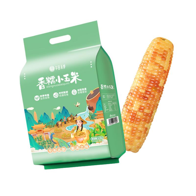 华田禾邦云南普洱香糯小玉米早餐代餐粗粮真空包装新鲜甜糯玉米棒