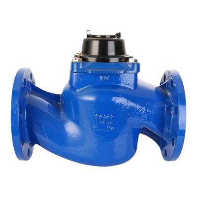 新品 WS垂直螺翼式水表 大口径防冻高灵敏高精度可拆式法兰水表
