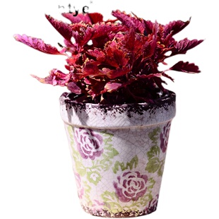 Homephtye陶瓷欧式复古花盆透气性好多肉花卉绿植兰花桌面美式