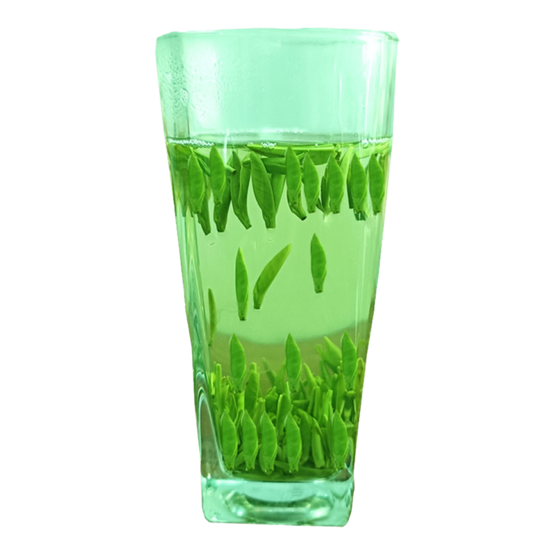 开园头采精品雀舌金坛雀舌春茶