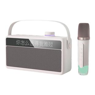 新科蓝牙音响一体显示歌词手提式唱K歌家用无线音箱低音炮大音量