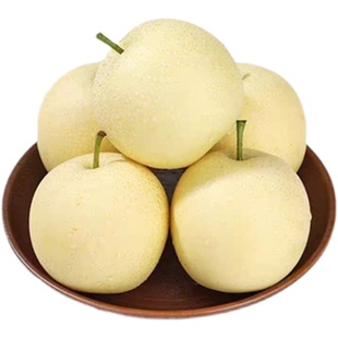 正宗河北皇冠梨新鲜水果整箱包邮赵县特产梨子当季现摘精选大果