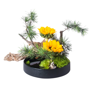 剑山插花器圆盘花器小原流花道花艺简约中式插花器皿陶瓷水盘一皿