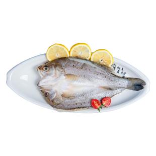 开背海鲈鱼新鲜冷冻特大去内脏清蒸纸包鱼烤鱼半成品食材商用批发