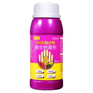 小麦拌种剂麦子专用拌种药麦种包衣剂种子种衣剂微生物菌剂麦黄金