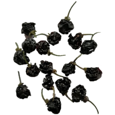 10克每包鲜龙葵果开了方子熬药
