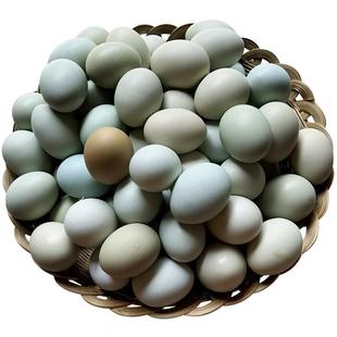 顺丰包邮丨新鲜乌鸡蛋40枚整箱绿壳蛋16枚土鸡蛋60枚新鲜柴鸡蛋草