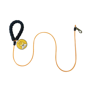 狗狗牵引绳防咬断狗绳结实狗链链子加长钢丝绳大型犬小型犬中型犬