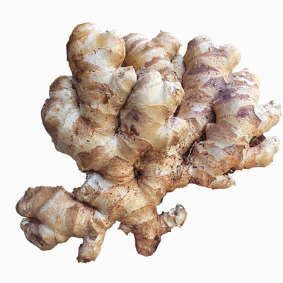 正宗云南罗平小黄姜农家自种生姜