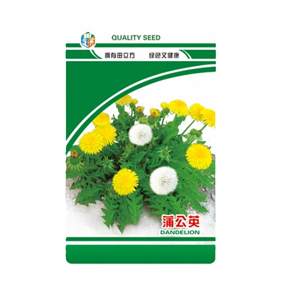 野菜种籽马齿苋野生蒲公英香椿籽