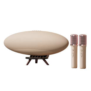 话筒音响一体麦克风飞艇6代2eppelinPro家用k歌唱歌音箱家庭ktv套