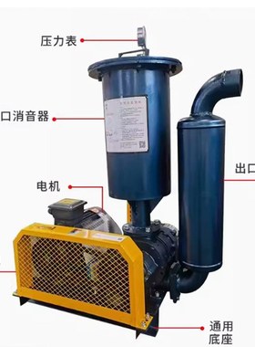 三叶罗茨鼓风机水产养殖鱼塘增氧机污水处理罗茨风机负压真空泵