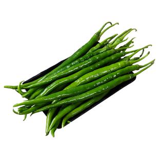 高产线椒辣椒苗秧苗四季盆栽薄皮尖椒青椒苗春季南方种阳台菜苗孑