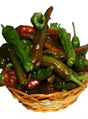 江苏徐州鲜辣椒皱皮特辣自种现摘
