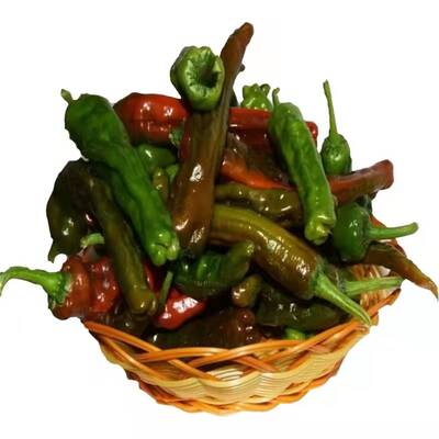 江苏徐州鲜辣椒皱皮特辣自种现摘