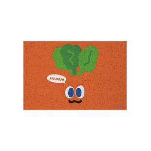 NASA联名魔力胡萝卜卜家族丝圈地垫室外门内玄关入户进门口脚垫子