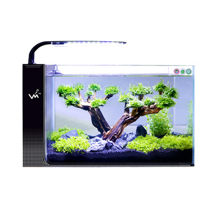 鱼缸水草泥植物套装真草活体增氧阴性沉木懒人草缸造景懒人套餐