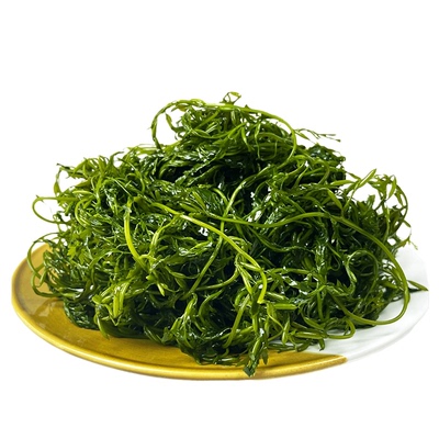 鞭炮笋火锅食材海藻凉拌菜火炮菜长寿菜龙须菜盐渍马尾藻批发