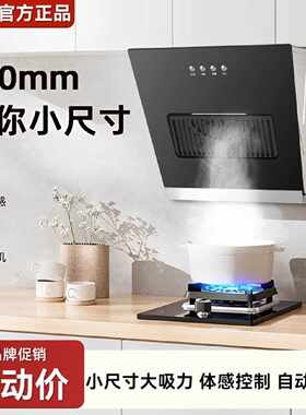 新飞小型抽油烟机家用厨房大吸力小尺寸侧吸式公寓出租房吸油烟机