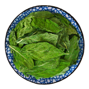 薄荷叶中药材小药仙正品食用薄荷叶干薄荷叶粉非野生薄荷叶茶泡水