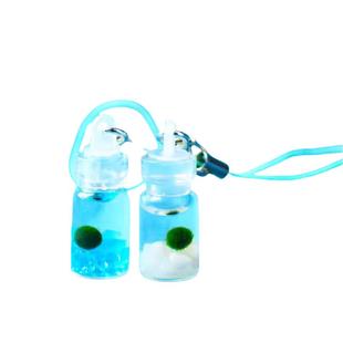 买一送一 MARIMO幸福海藻球生态瓶微景观桌面水培植物diy生日礼物