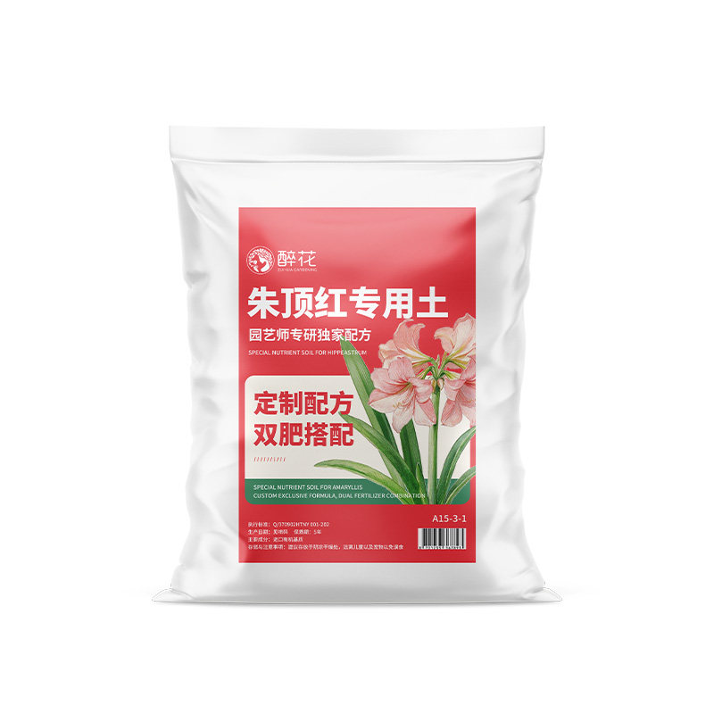 醉花朱顶红专用营养土盆栽阳台