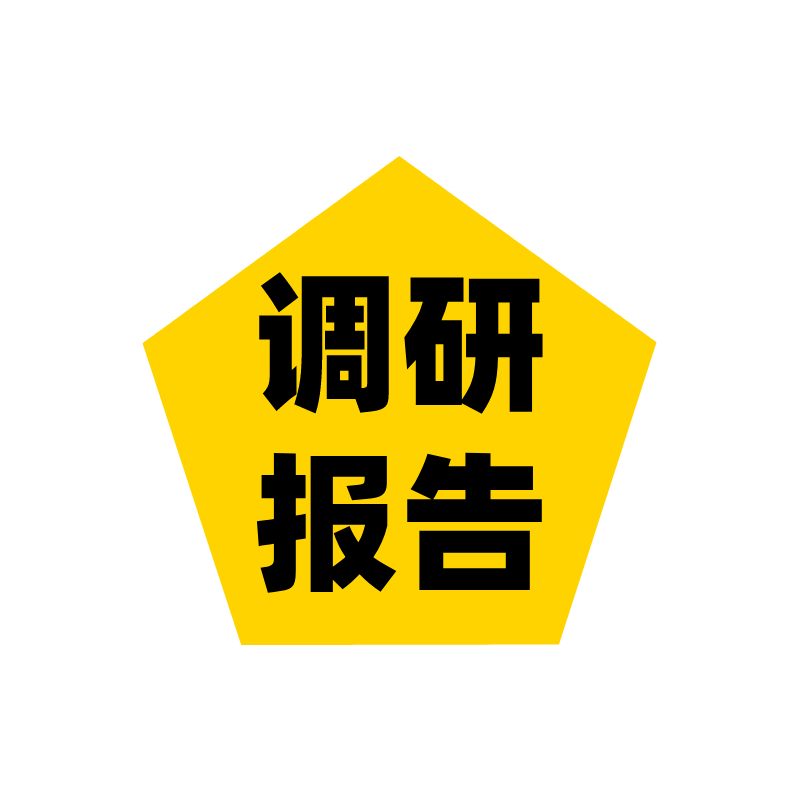 市场调研报告可行性研究代分析方案行业研报统计调查财务报表ppt