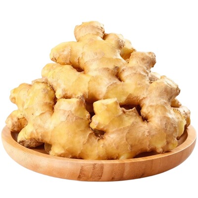 高原小黄姜批发价现挖现发新鲜