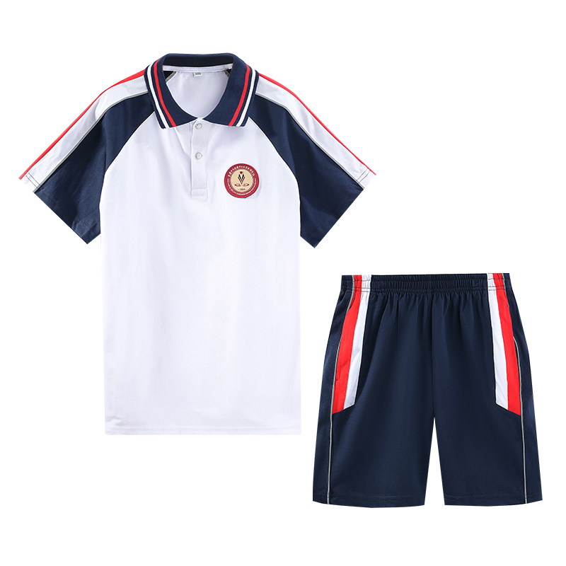 小学生校服夏装儿童班服套装石龙西湖运动服毕业照纯棉幼儿园园服