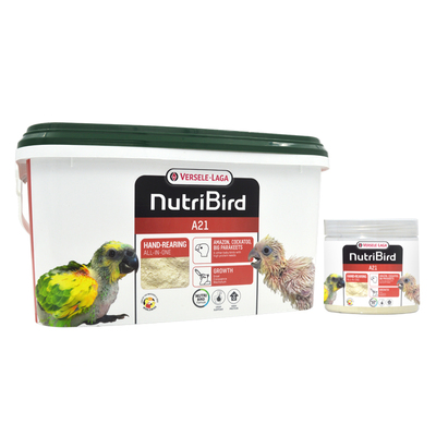 凡赛尔鹦鹉奶粉A21A19手养幼鸟粮