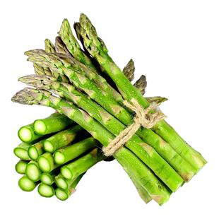 正宗现挖芦笋新鲜脆嫩5斤时令蔬菜根苗青笋尖去春笋产地直发龙须