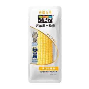 【免切玉米段】北纬47度开袋即食水果玉米段免切鲜玉米真空装