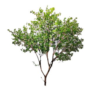 仿真吊钟树 马醉木室内外仿生假绿植物橱窗造景 装饰景观摆件套装