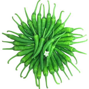 3斤礼盒装正宗樟树港辣椒新鲜湖南岳阳特产农家自种薄皮嫩小青椒