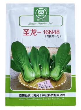 圣龙一号农科院耐湿夏秋季上海青