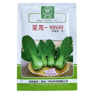 圣龙16N48上海青种子青梗菜一号四季青菜种籽高产耐热耐湿夏秋季